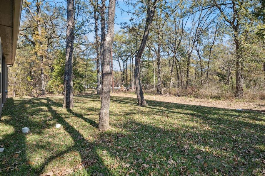 Natural landscape and outdoor views near  in Trinidad (Image 34).