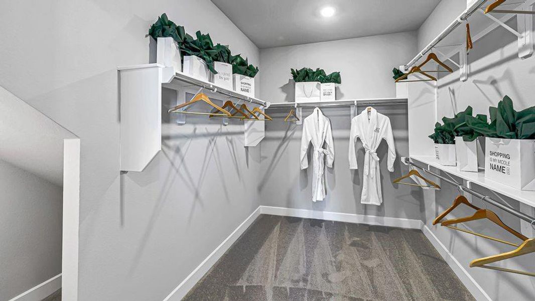 REPRESENTATIVE PHOTO