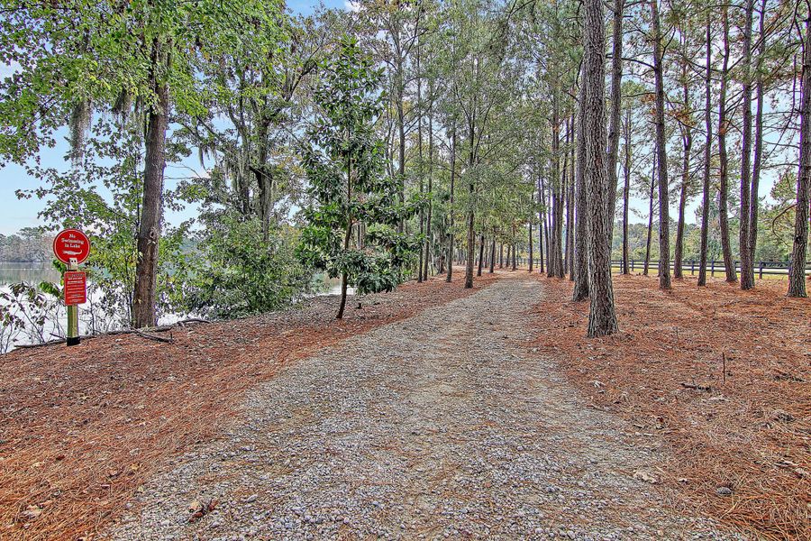 Natural landscape and outdoor views near Heron's Walk at Summers Corner in Summerville (Image 61).