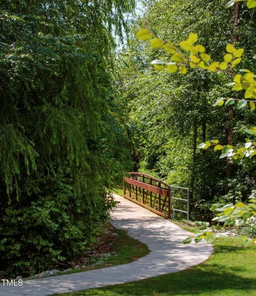 Mews trails in the community