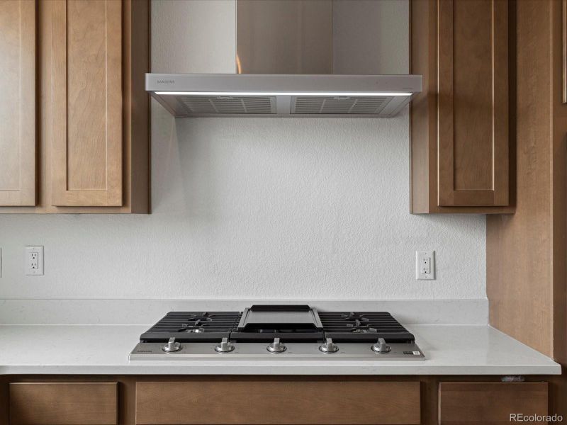 Close-up of interior finishes inside a home in Ascent at Inverness, Englewood (Image 11).