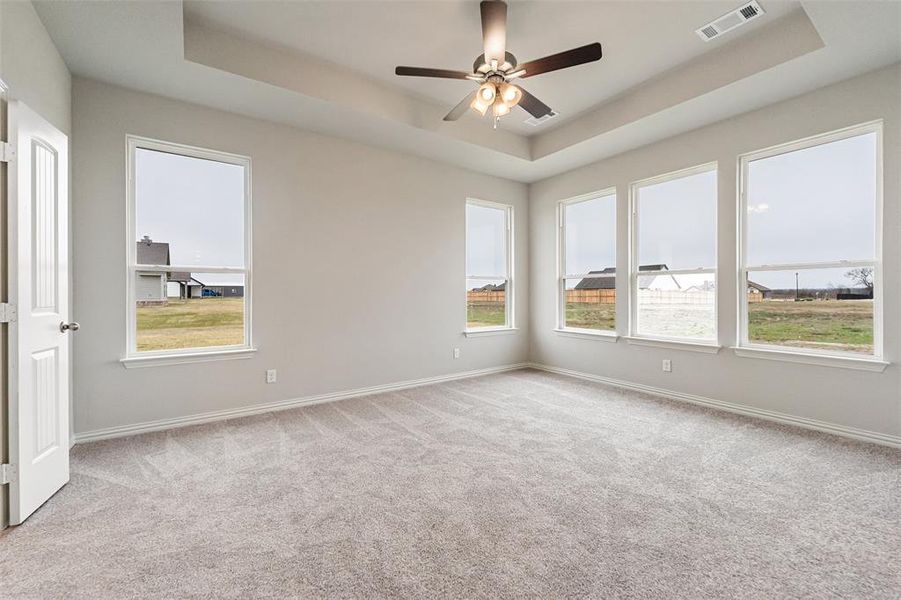 Unfurnished room featuring a tray ceiling, ceiling fan, and light carpet