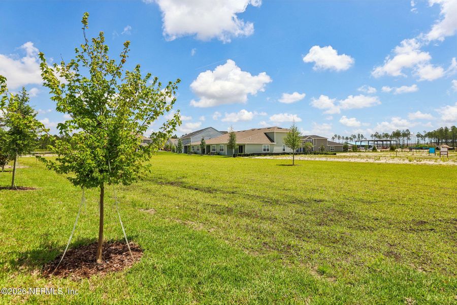 Natural landscape and outdoor views near Parkside at Shearwater in St. Augustine (Image 38).
