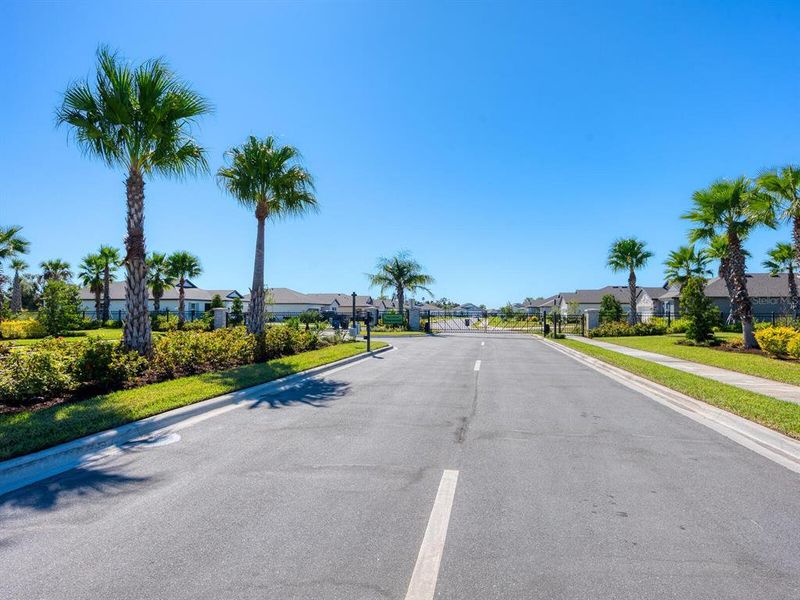 Natural landscape and outdoor views near Summerwoods in Parrish (Image 31). Natural landscape and outdoor views near Summerwoods in Parrish (Image 31).