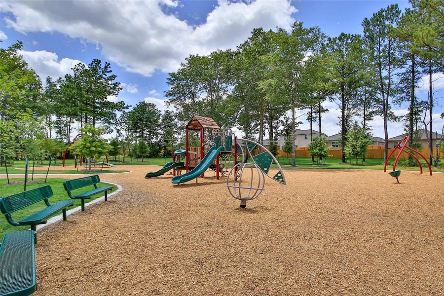 Community amenities in Pinewood Trails, Cleveland (Image 18).
