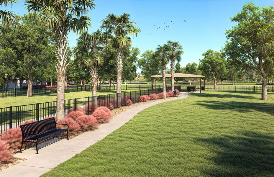 Community amenities in Caldera, Spring Hill (Image 17).