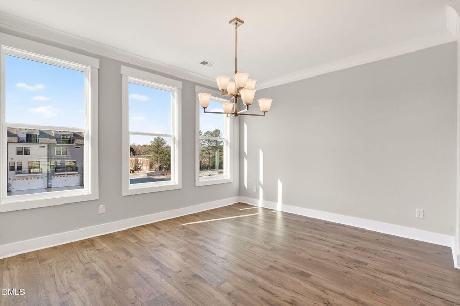 16-web-or-mls-DSC03117