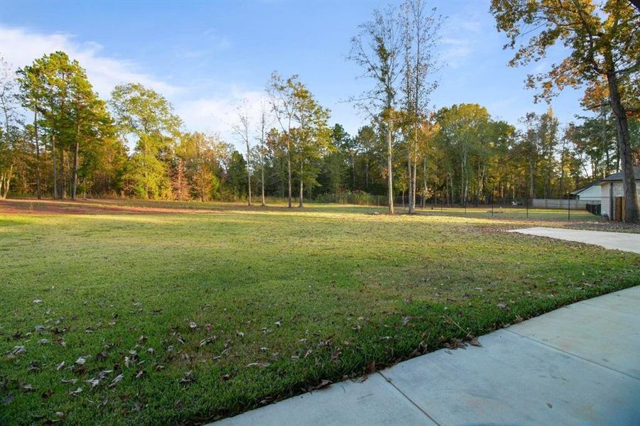 Natural landscape and outdoor views near  in Bullard (Image 36).