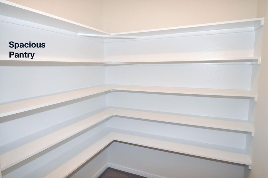 LARGE Pantry.