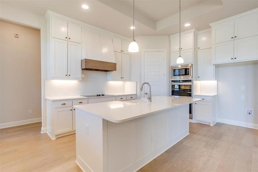 Kitchen with premium range hood, stainless steel appliances, sink, a raised ceiling, and light hardwood / wood-style flooring