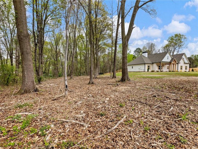 Natural landscape and outdoor views near  in Gillsville (Image 57).