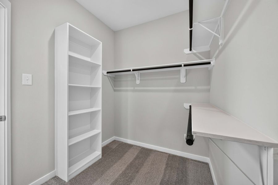 11931 Avian Avenue - Juniper - Primary Closet