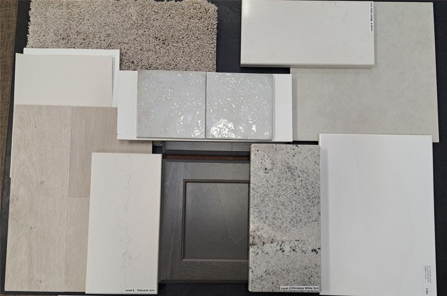 Final Interior Selections for 430 Tejas Village Pkwy