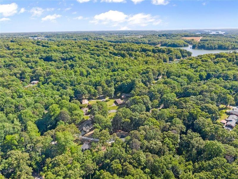 Natural landscape and outdoor views near  in Gainesville (Image 46).
