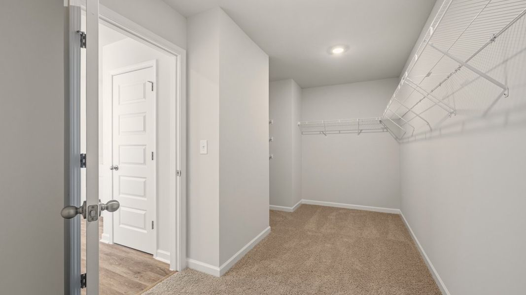Spacious, unfurnished interior of a new home in Cedar Ridge - Locust Grove Station, Locust Grove (Image 25).