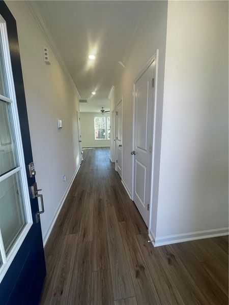 Spacious, unfurnished interior of a new home in Springwood Grove, Central (Image 11).