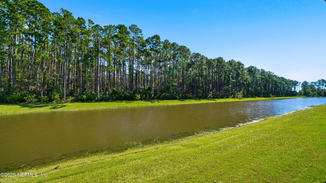 Natural landscape and outdoor views near River Glen Express in Yulee (Image 30).