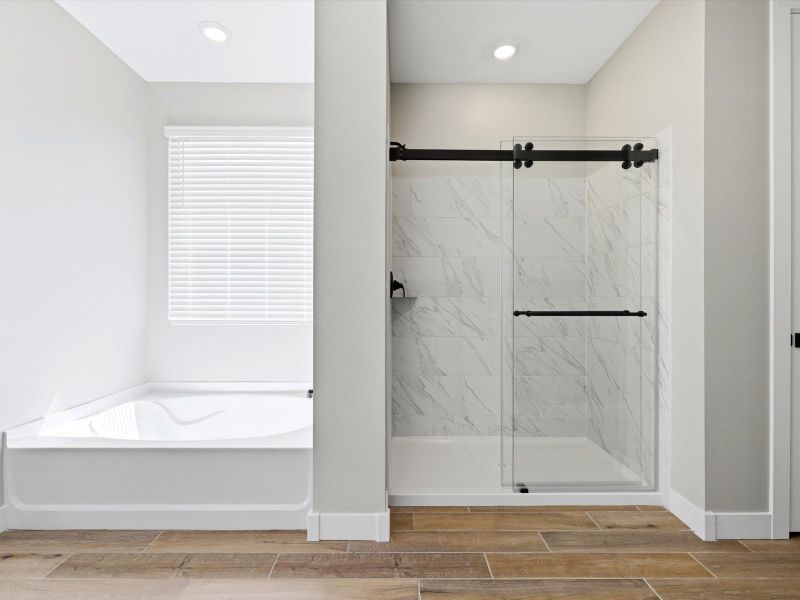 Furnished interior view inside a new home in White Tank Foothills Signature Series, Waddell (Image 8).
