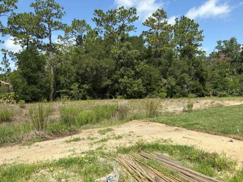 Natural landscape and outdoor views near Juliette Falls in Dunnellon (Image 8). Natural landscape and outdoor views near Juliette Falls in Dunnellon (Image 8).