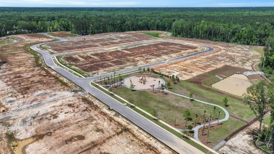 Site preparation for new homesites in Pineview North, Summerville (Image 22).
