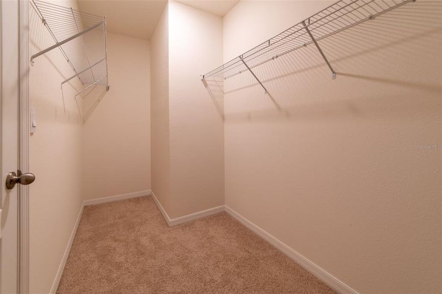 Spacious, unfurnished interior of a new home in , Harmony (Image 50).
