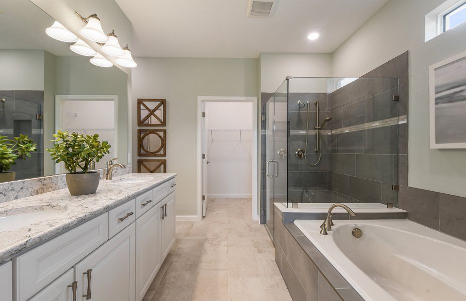 Owner's bath with tub and separate shower