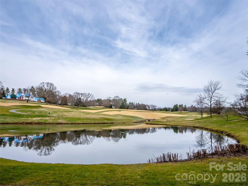 Natural landscape and outdoor views near  in Asheville (Image 24).