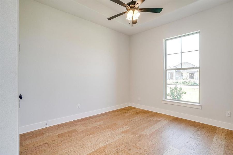 Unfurnished room with light hardwood / wood-style floors and ceiling fan