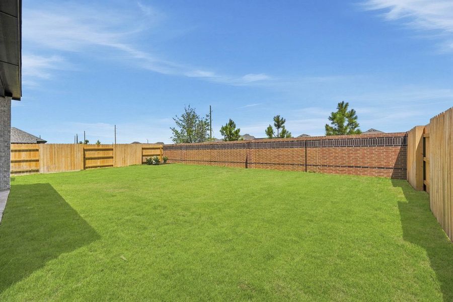 Backyard