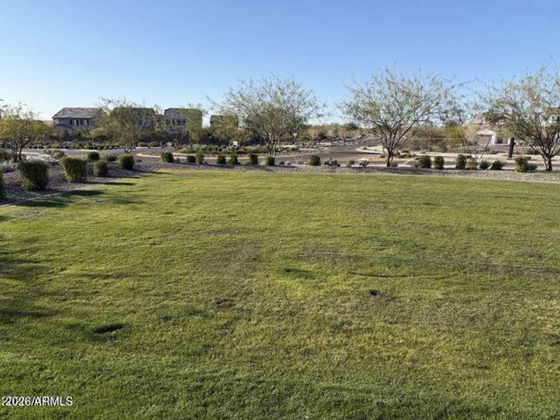 20260206192530945532000000-o