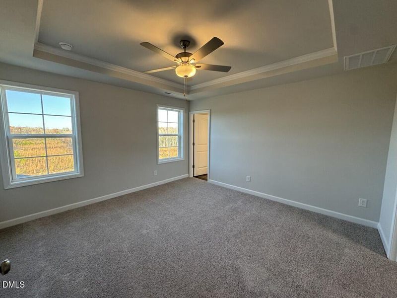 Photo Nov 16 2025, 3 48 27 PM (Medium)