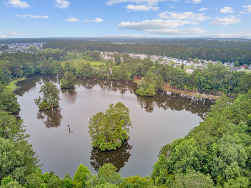 Natural landscape and outdoor views near  in Moncks Corner (Image 71).