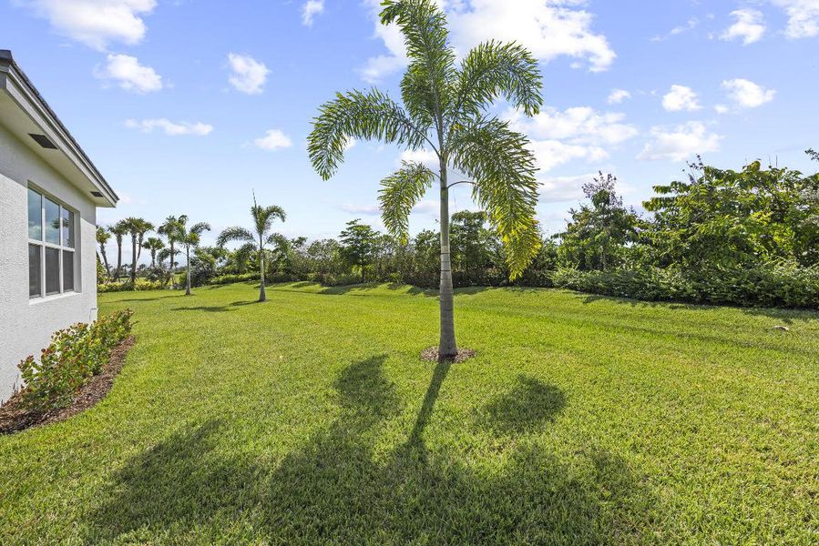 51_0o1a0549 51_0o1a0549