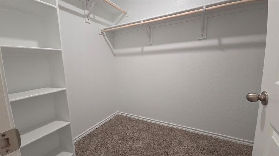 Interior closet featuring built-in shelving, two clothing rods, and wall-to-wall carpeting Interior closet featuring built-in shelving, two clothing rods, and wall-to-wall carpeting