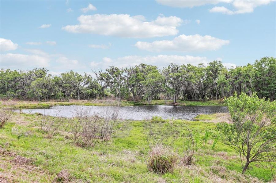 Natural landscape and outdoor views near North Park Isle in Plant City (Image 50).