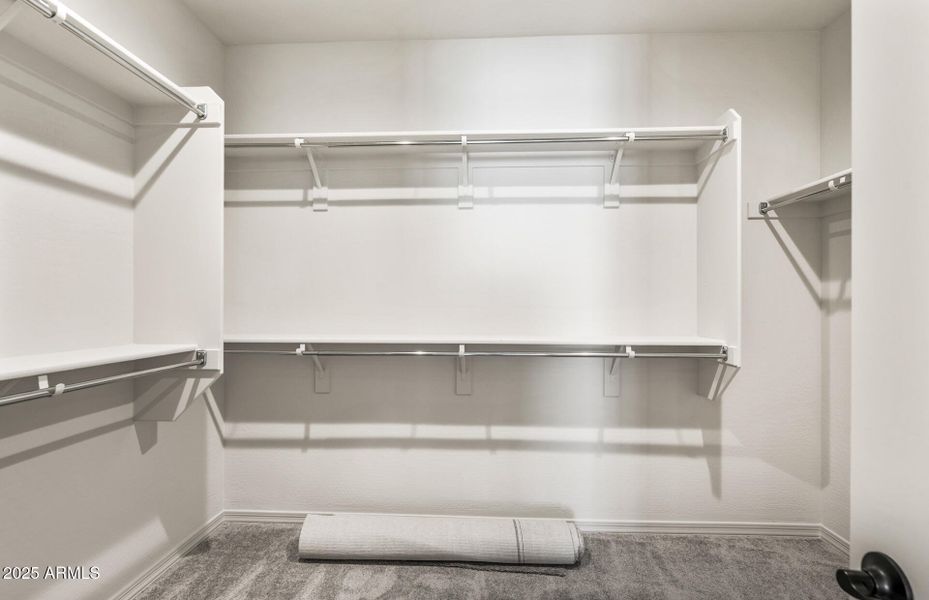 Owner's Closet Owner's Closet