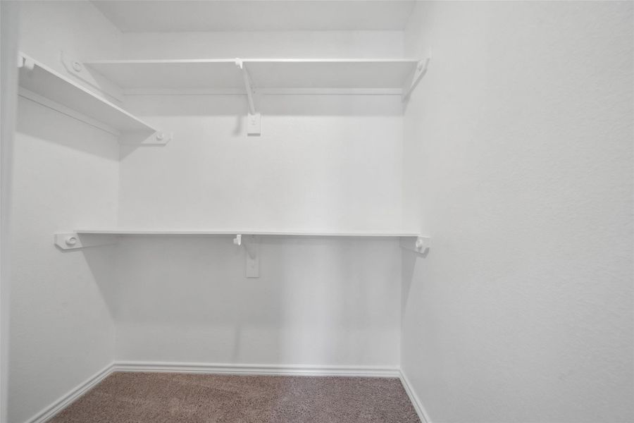 The primary bedroom features a spacious walk-in closet.