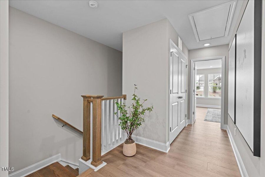 15-DSC01001 15-DSC01001