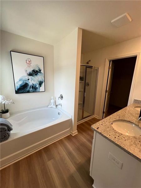 Furnished interior view inside a new home in Old Salem Crossing, Conyers (Image 20).