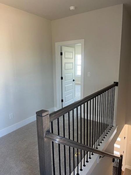 Stairs featuring baseboards and carpet flooring Stairs featuring baseboards and carpet flooring
