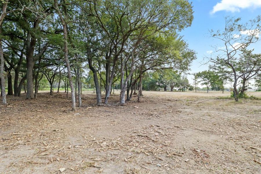Natural landscape and outdoor views near in Purdon (Image 27). Natural landscape and outdoor views near in Purdon (Image 27).