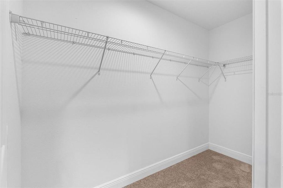 Spacious, unfurnished interior of a new home in , Tampa (Image 24).