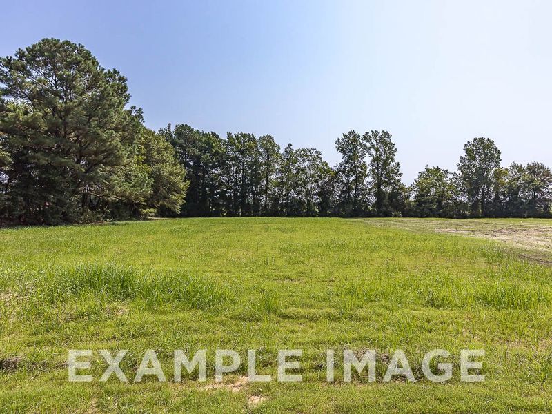 Outdoor and nature views near homes built from the The Chestnut by Davidson Homes LLC in Wendell Ridge, Wendell (Image 34).