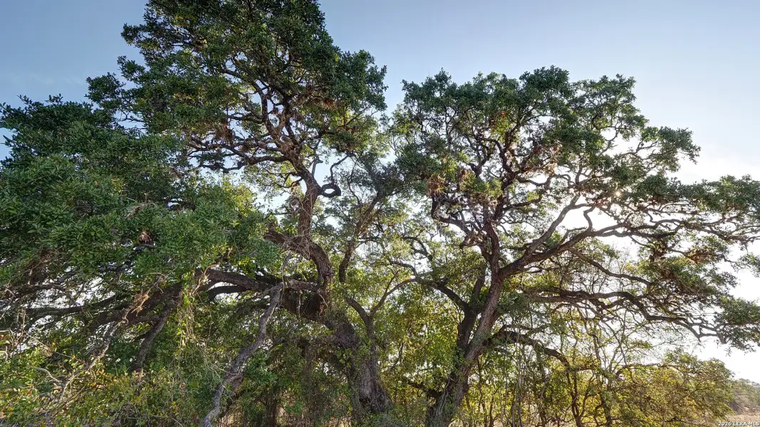 Natural landscape and outdoor views near Veramendi in New Braunfels (Image 4).