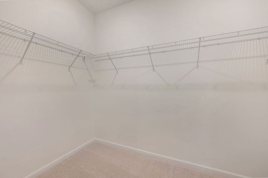Owner's Closet