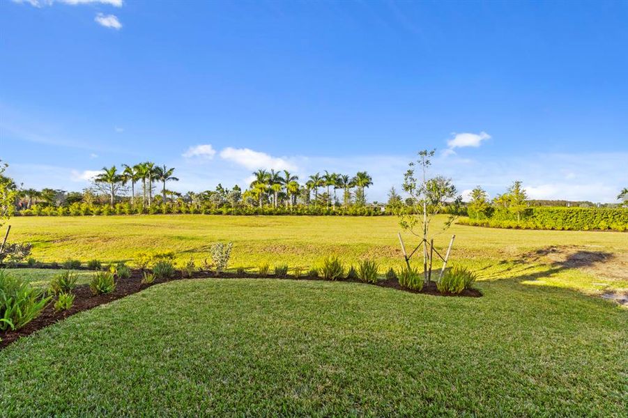 Natural landscape and outdoor views near  in Punta Gorda (Image 28).