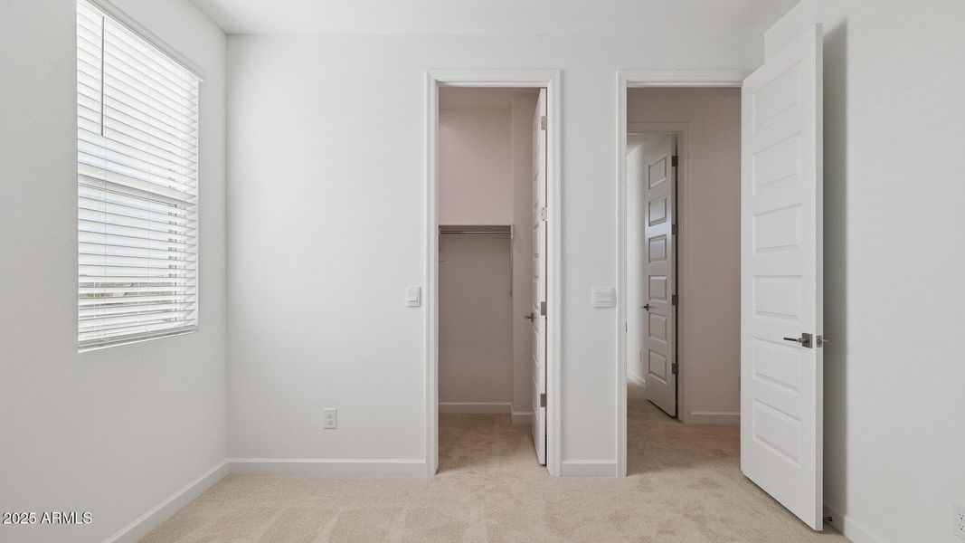 3985_Phoenician_Lot 2078_Aloravita_Peori