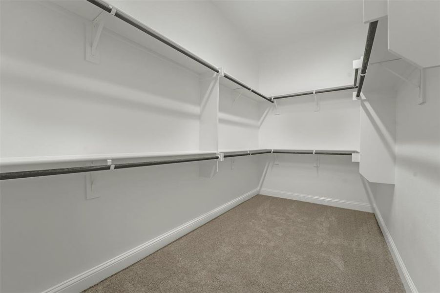Walk in closet with dark colored carpet