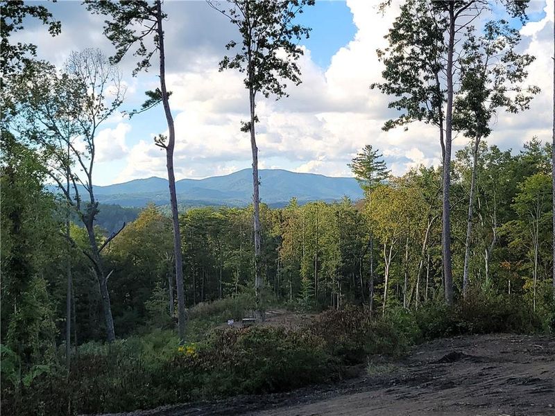 Natural landscape and outdoor views near in Ellijay (Image 51). Natural landscape and outdoor views near in Ellijay (Image 51).