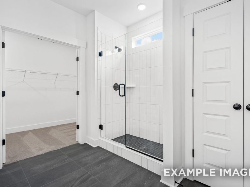 Spacious, unfurnished interior of a new home in Woods Crossing, Gallatin (Image 70).